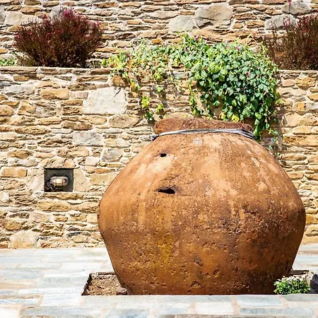 Case de vacanță Plum Ridge House *